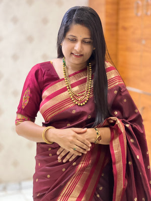 Premium Narayan Peth